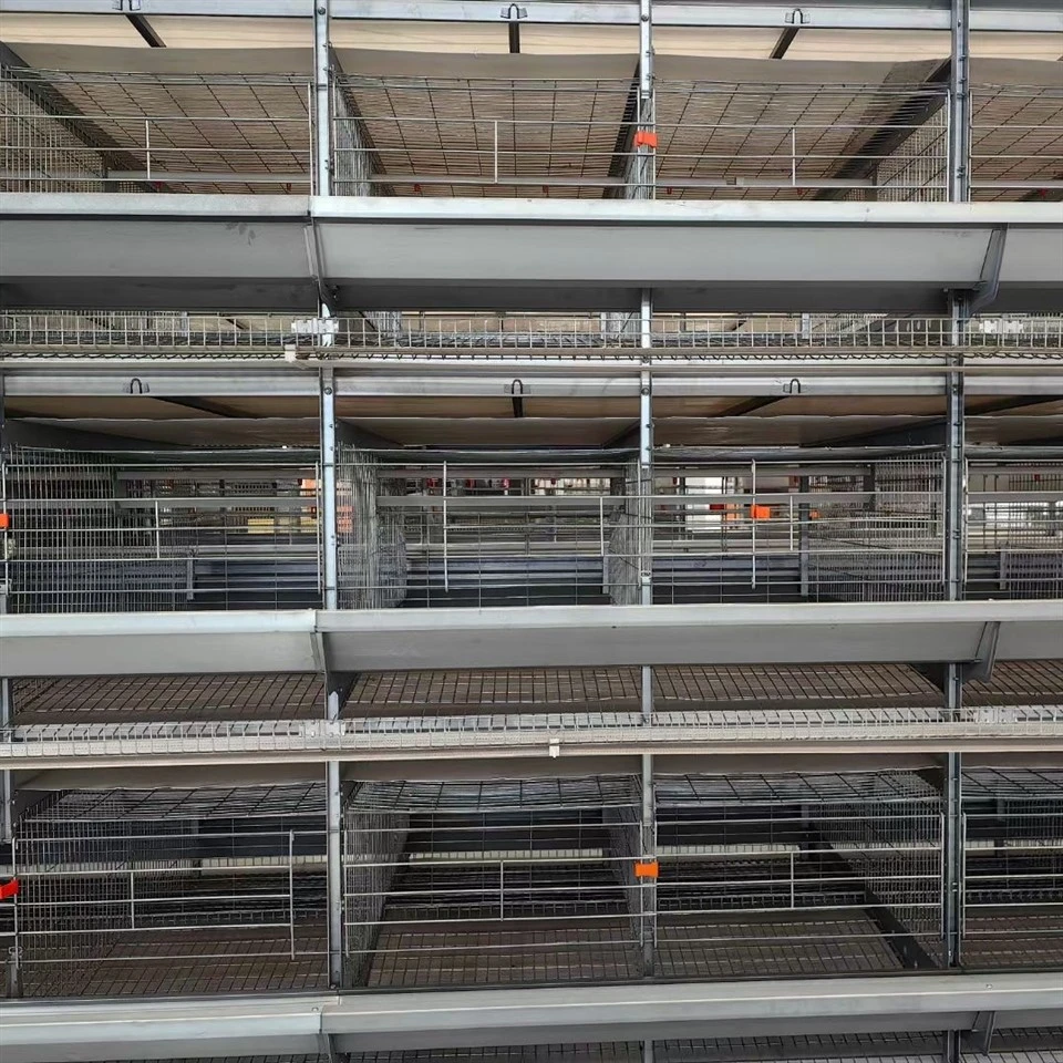 Anti-corrosion Galvanized Layer Cages